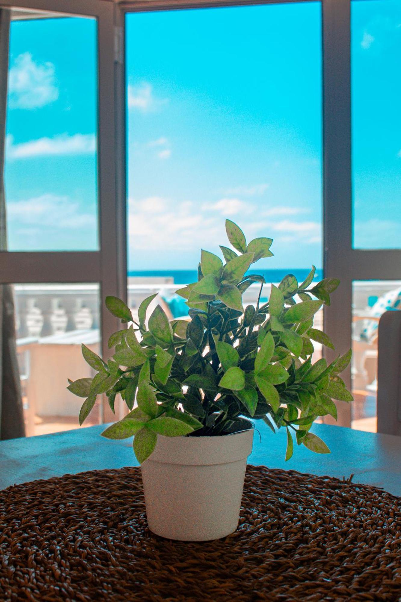 Vista Mar - Seafront Holiday Apartments Santa Maria Esterno foto